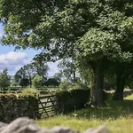 Apartament White Deluxe 2 Bedroom Grassington